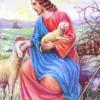 Good Shepherd