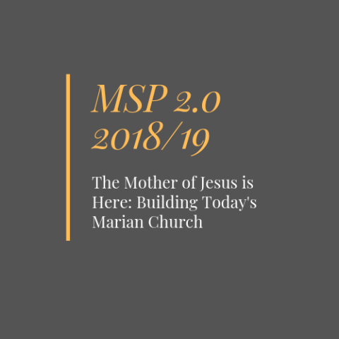 MSP 2.0 2018-2019